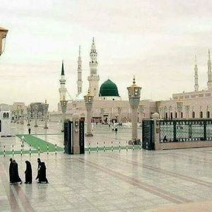 Meet your Posher, Farhat